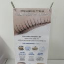 이다지뷰티