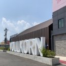 선산대로-24 이미지