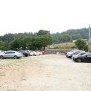 도그랜드 이미지