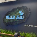 제주도 2박3일 협재 서귀포 먹방,구경 일정 추천 맛집 추천