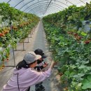 재이농장 이미지