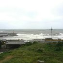 제주미라클호텔 이미지