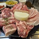 고기호텔 티스토리
