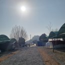 백산금빛캠프장 이미지