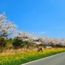 은원목장 이미지