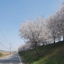 유비파크사거리 | 파주에서 반포 밤도깨비 야시장 라이딩.