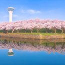 상순목장 티스토리