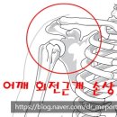 닥터메포츠의원 네이버블로그