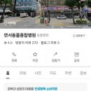 연서동물종합병원