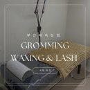 오늘, 그루밍 | [부산대 속눈썹펌&amp;왁싱] 잘 하는 곳 ‘그루밍왁싱&amp;래쉬’ 내돈내산 후기