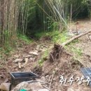승남농장 네이버블로그