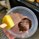 피터스커피 | 신혼여행] 2일차 시드니 둘째날 수산시장 피쉬마켓 검션커피 레고 울월스 오페라하우스 베네롱 워터라이트