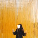 금호 조각공원 이미지