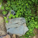 임피건재사 이미지