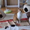 세븐일레븐(거제고현롯데점) | 20250918~20250921 일상기록_바디컷튠핏,서연수산,강다찌