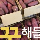 봉선청과 이미지