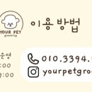 유어펫그루밍