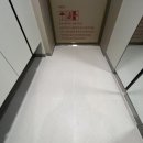 파내올 | 서울시 송파구 잠실르엘 아파트 케라폭시 폴리우레아 화장실 줄눈시공 후기<깔끔줄눈>