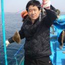 문암2리항 이미지