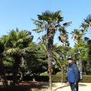 일출랜드식물원 이미지