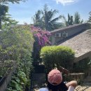 코지빌리지 | 푸꾸옥 트로피칼 M빌리지 수영장 트로피칼 코지룸 수영장 조식 후기(M빌리지 비교)