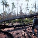 아마존 타이어 이미지