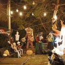 금광농원 이미지