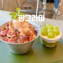 강원도 원주 케이크 맛집, 팡그라미 : 유튜버 입짧은햇님 추천 카페 내돈내산 후기