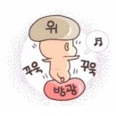 파크중기 | [임신일기] 24주- 26주 점점 나태해지는 임신 중기