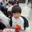 바른i 태권도 네이버블로그