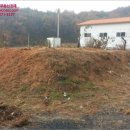 만취정로 이미지