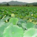 공검농업협동조합 이미지