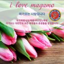 04월14일 일요일 날씨(백령도,연평도,강화도) 이미지