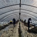 장암농업협동조합 이미지