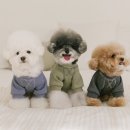 티랜드