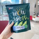 푸른바다 리조트(주) | 8월 4주차 : 나는 머리카락을 잘라냈고, 우리는 강화도를 여행중이고, 편리왕의 misread는 흐르고