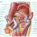 리턴투 필라테스 이미지