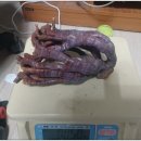 정량2농장 이미지