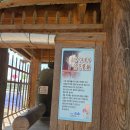 백제산림주 | 부여가볼만한곳 낙화암, 고란사 백마강황포돛배와 백제여행