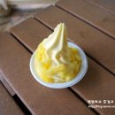 거북이가든 이미지