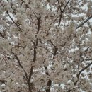 전천회관 이미지