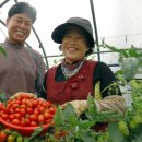 행복한농사꾼 이미지