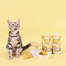 펫슈퍼24 이미지