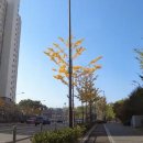 린스트라우스,호반베르디움 사거리 이미지