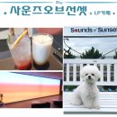 하늘달빛로2번길 남측 | 영종도오션뷰카페 LP카페 사운즈오브선셋 애견동반 후기
