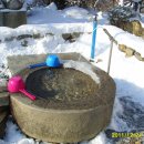 각원사약수 이미지