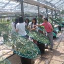 천안제일고등학교 이미지