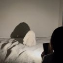 누리과학 | 유아과학전집 꿈틀이 첫과학 누리과정 주제 연계