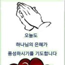 895 Daum카페