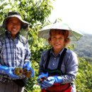 3.8농장